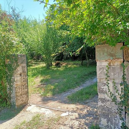 Willa La Colline Aux Oiseaux, La Tranquillite Des Bois Molieres-sur-Ceze Zewnętrze zdjęcie