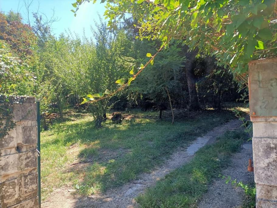 Willa La Colline Aux Oiseaux, La Tranquillite Des Bois Molieres-sur-Ceze Zewnętrze zdjęcie
