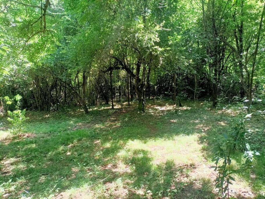 Willa La Colline Aux Oiseaux, La Tranquillite Des Bois Molieres-sur-Ceze Zewnętrze zdjęcie